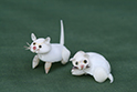 かいのどうぶつえん:こねこ