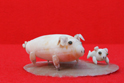 かいのどうぶつえん:ミニブタ