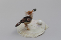 かいのどうぶつえん(鳥類館):エジプトハゲワシ