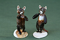 かいのどうぶつえん:レッサーパンダ