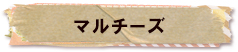 かいのどうぶつえん（ペット館）：マルチーズ