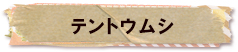 かいのどうぶつえん（昆虫類館）：テントウムシ