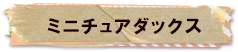 かいのどうぶつえん（ペット館）：ミニチュアダックス