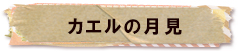 かいのどうぶつえん（両生類館）：カエルの月見