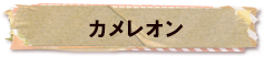 かいのどうぶつえん（爬虫類館）：カメレオン