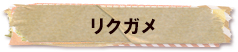 かいのどうぶつえん（爬虫類館）：リクガメ