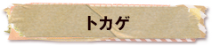 かいのどうぶつえん（爬虫類館）：トカゲ