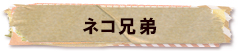 かいのどうぶつえん（ペット館）：ネコ兄弟