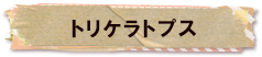 かいのどうぶつえん（恐竜館）：トリケラトプス