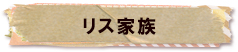 かいのどうぶつえん（小動物館）：リス家族