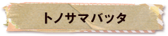 かいのどうぶつえん（昆虫類館）：トノサマバッタ