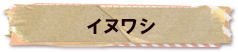 かいのどうぶつえん（鳥類館）：イヌワシ