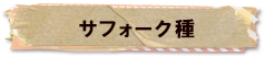 かいのどうぶつえん（牧場）：サフォーク種