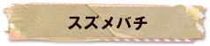 かいのどうぶつえん（昆虫類館）：スズメバチ