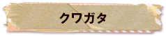 かいのどうぶつえん（昆虫類館）：クワガタ