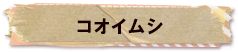 かいのどうぶつえん（昆虫類館）：コオイムシ