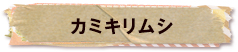 かいのどうぶつえん（昆虫類館）：カミキリムシ