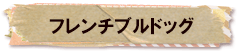 かいのどうぶつえん（ペット館）：フレンチブルドッグ