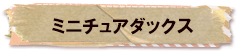 かいのどうぶつえん（ペット館）：ミニチュアダックス