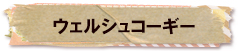 かいのどうぶつえん（ペット館）：ウェルシュコーギー