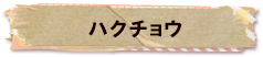 かいのどうぶつえん（鳥類館）：ハクチョウ
