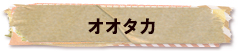 かいのどうぶつえん（鳥類館）：オオタカ