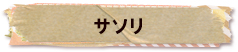 かいのどうぶつえん（昆虫類館）：サソリ