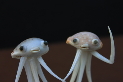 かいのどうぶつえん（架空動物館）：火星人来園09