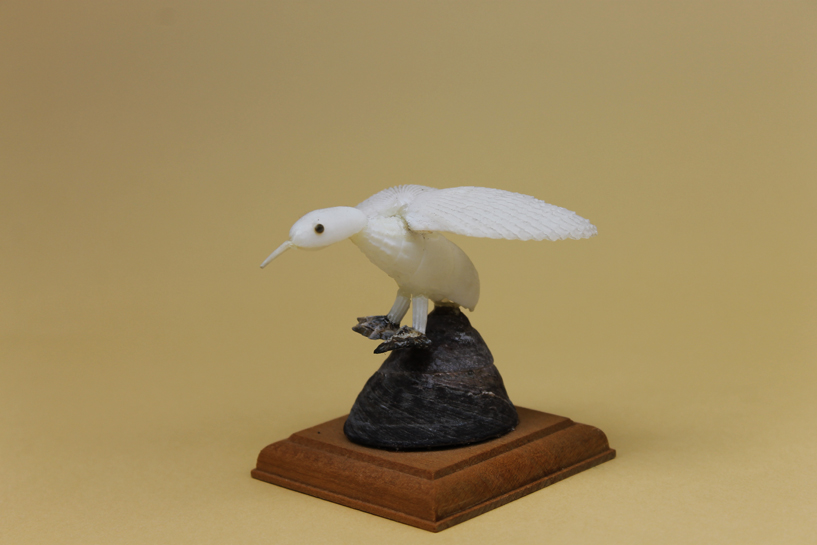 かいのどうぶつえん（鳥類館）：ハクチョウ02