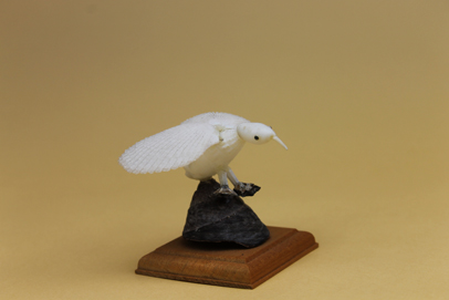 かいのどうぶつえん（鳥類館）：ハクチョウ03