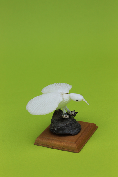 かいのどうぶつえん（鳥類館）：ハクチョウ05