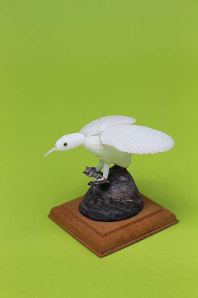 かいのどうぶつえん（鳥類館）：ハクチョウ06