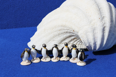かいのどうぶつえん（鳥類館）：皇帝ペンギン24