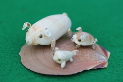 かいのどうぶつえん（ペット館）：ミニブタ27