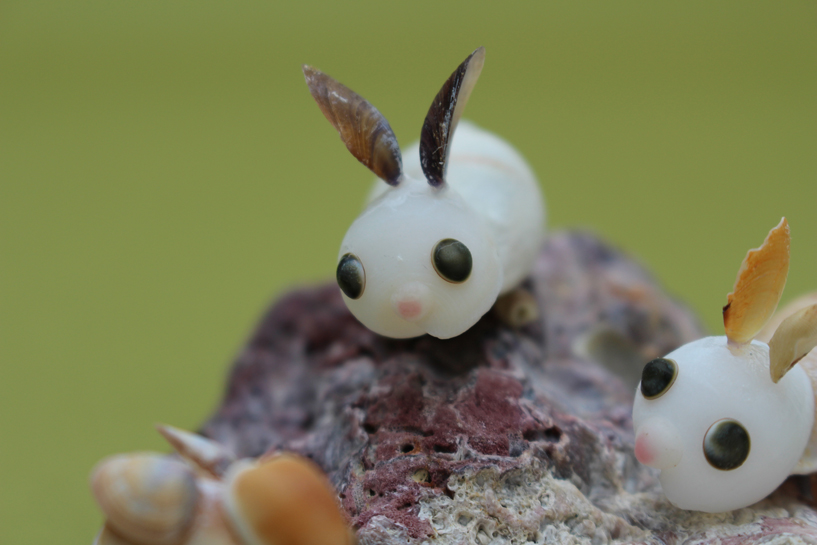 かいのどうぶつえん(小動物館):ウサギ兄弟04