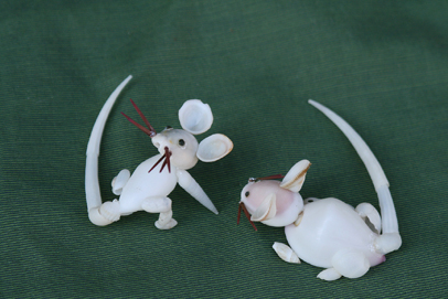 かいのどうぶつえん（小動物館）：子（ねずみ）02