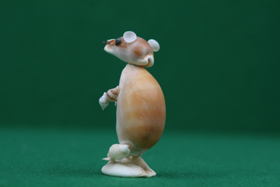 かいのどうぶつえん（小動物館）：プレーリードッグ07