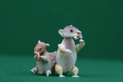 かいのどうぶつえん（小動物館）：プレーリードッグ10