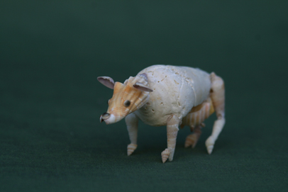 かいのどうぶつえん（牧場館）：ウシ03
