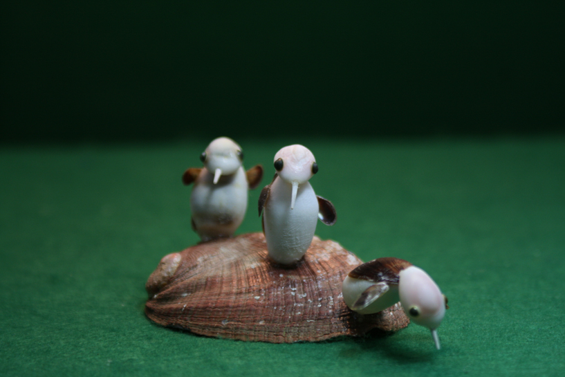 かいのどうぶつえん（鳥類館）：ペンギン02