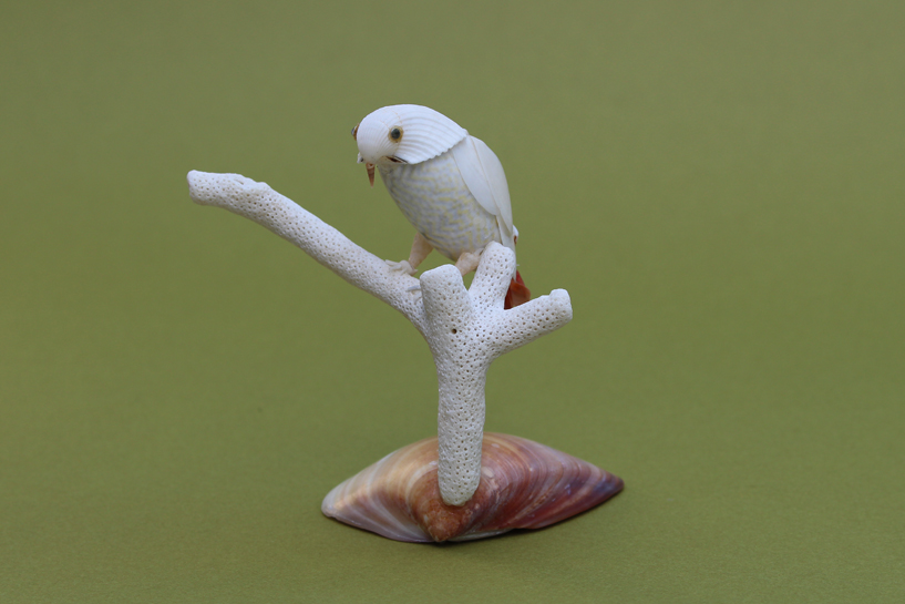 かいのどうぶつえん（鳥類館）：ヨウム