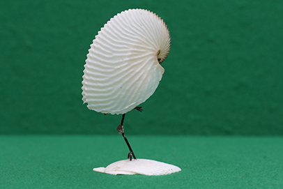 かいのどうぶつえん（鳥類館）：凍鶴（いてづる）09