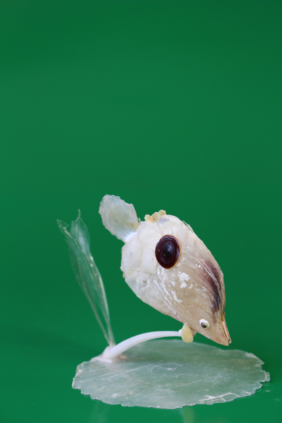 かいのどうぶつえん（水族館1）：チョウチョウウオ