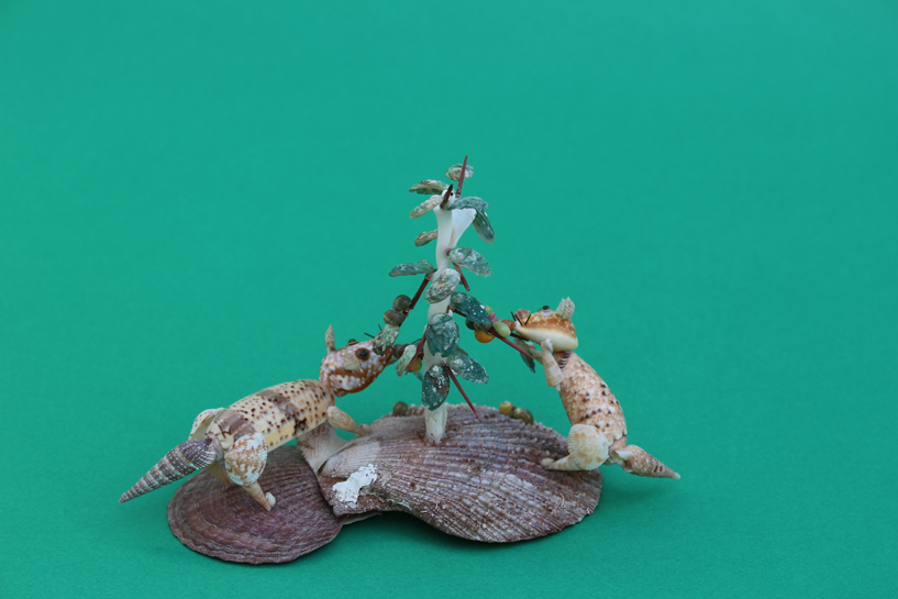 かいのどうぶつえん（野生動物館）：ジャコウネコ