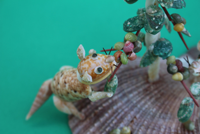 かいのどうぶつえん（野生動物館）：ジャコウネコ