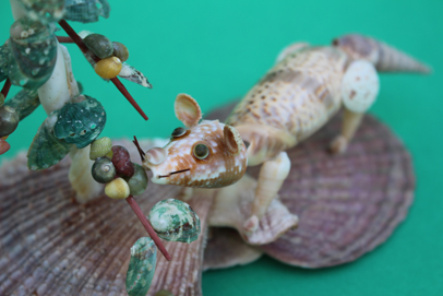かいのどうぶつえん（野生動物館）：ジャコウネコ