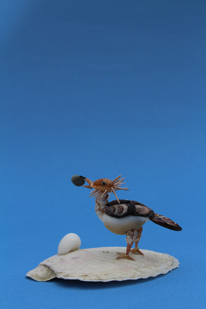 かいのどうぶつえん（鳥類館）：エジプトハゲワシ