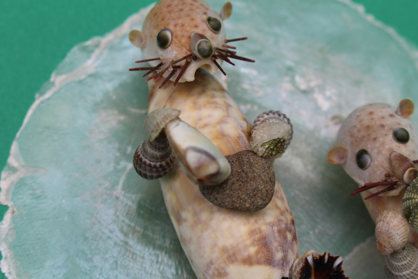 かいのどうぶつえん（水族館2）：ラッコ兄弟