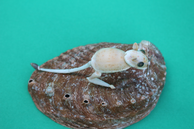 かいのどうぶつえん(小動物館):トビネズミ