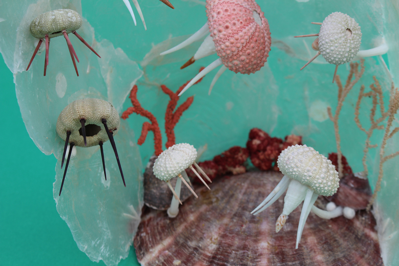 かいのどうぶつえん（水族館1）：クラゲの群舞